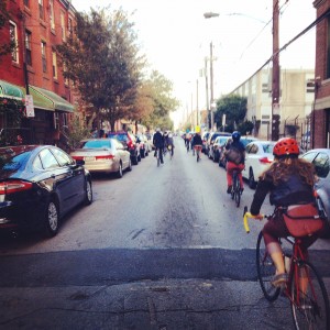 All the ducks in a line. Photo by Melinda Gervasio. Phindie's Official Fringe Bike Tour