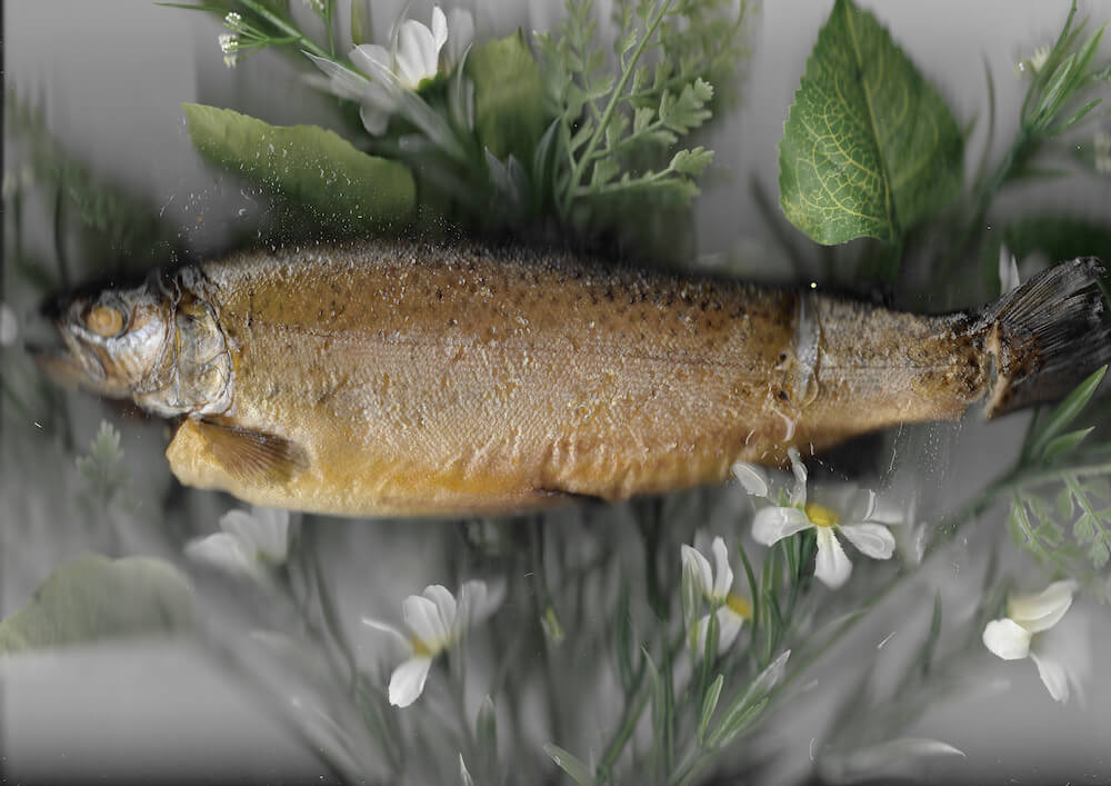 Smoked Trout by Andy Sowers