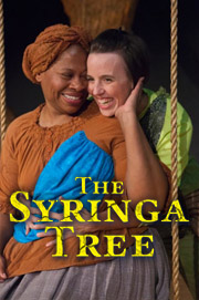 the-syringa-tree-theatre-horizon