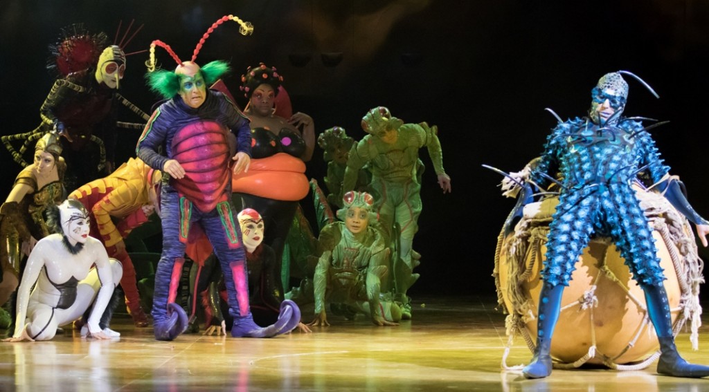 Cirque du Soleil’s OVO features an ensemble of acrobatic insects (Photo credit: Courtesy of Cirque du Soleil)