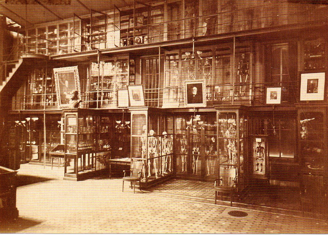 Mutter Museum circa 1880.
